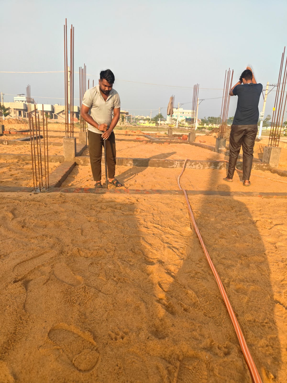 AD Pest Control Treatment 6